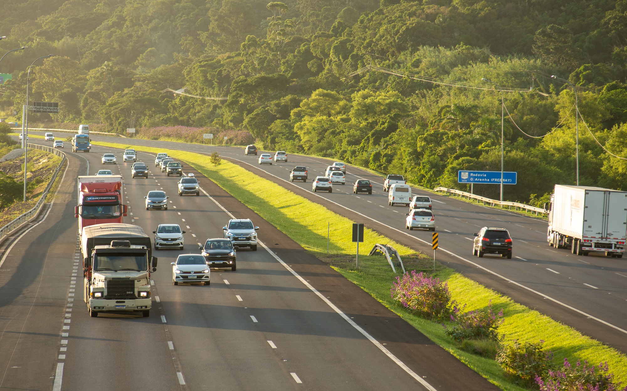 Último feriado prolongado do ano deve levar mais de 975 mil motoristas às rodovias da CCR ViaSul