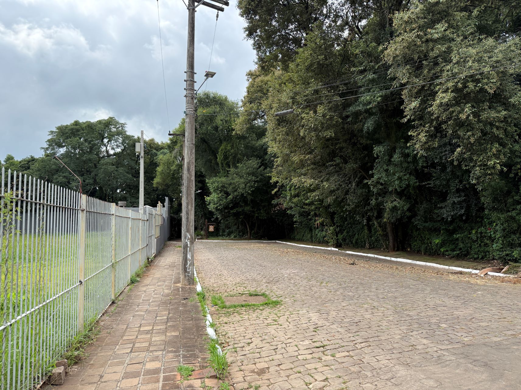 Feira Orgânica muda de endereço e passa a ocorrer às segundas no Bairro Americano