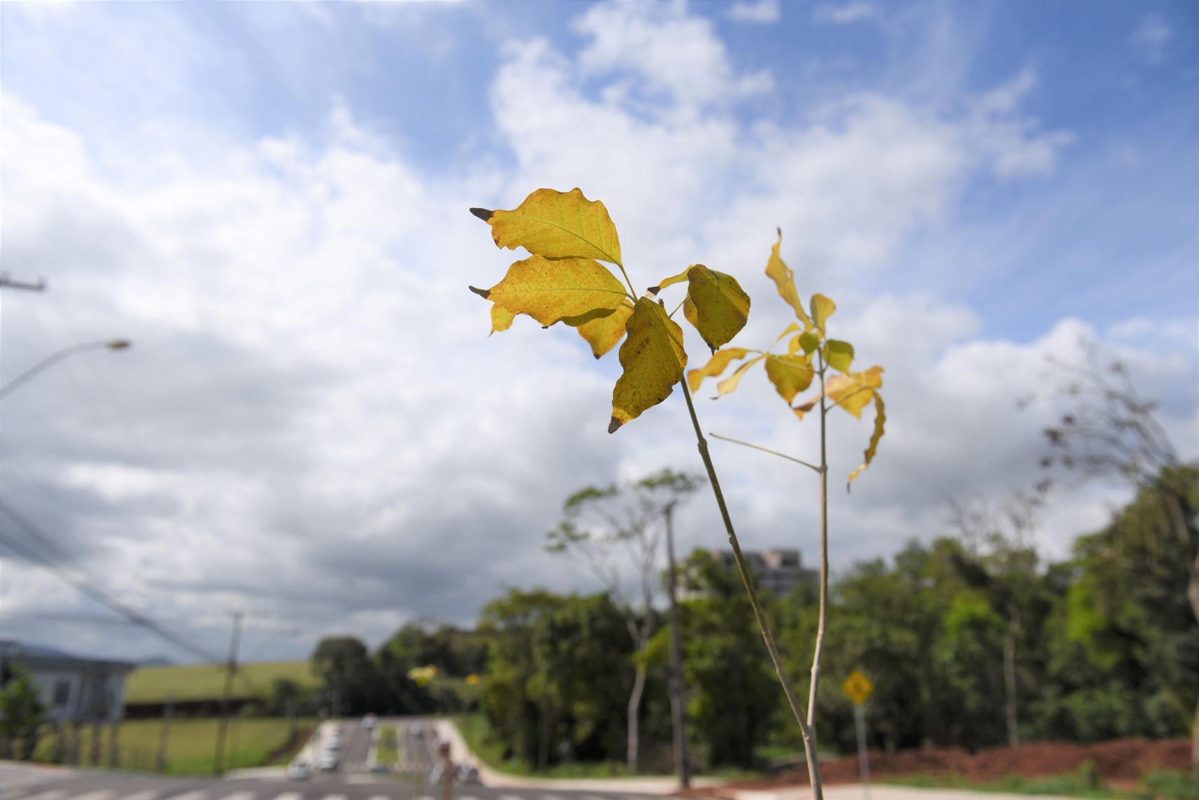 Pacto Lajeado pela Paz celebra 7 anos nesta quarta-feira com ação simbólica na Praça Gaspar Silveira Martins