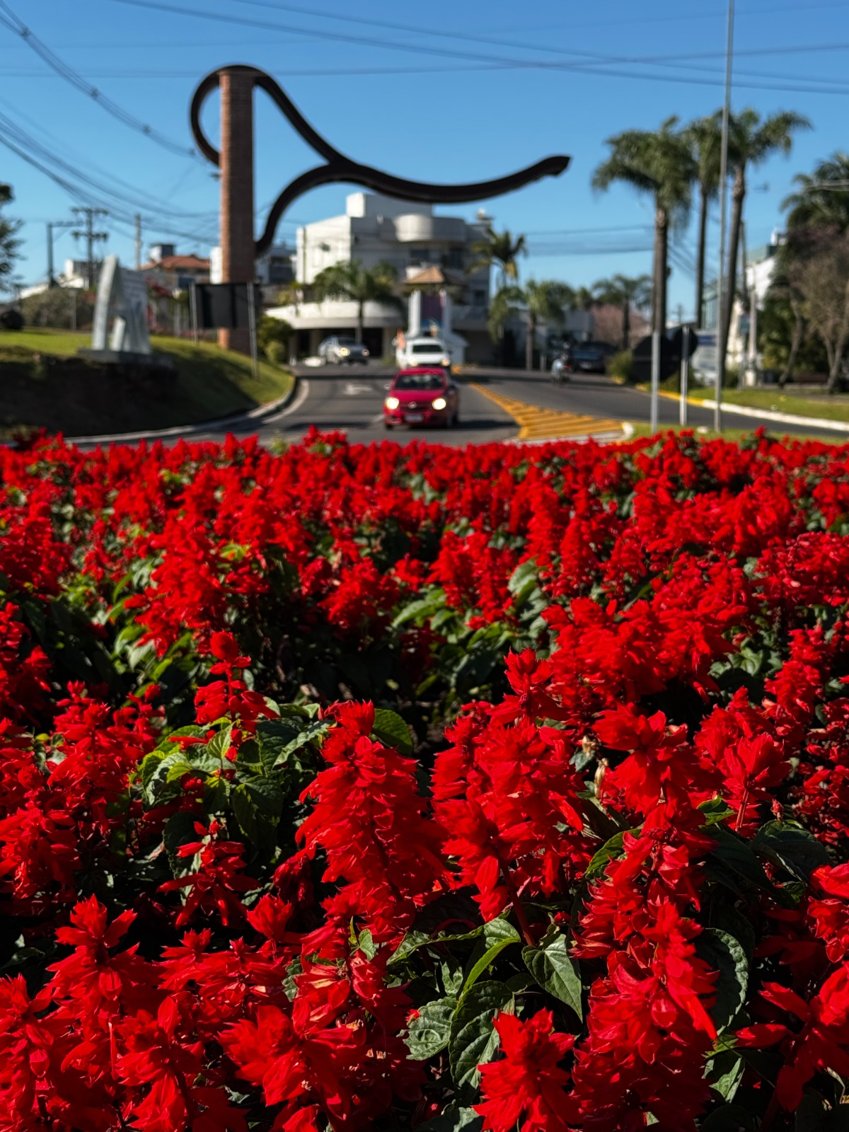Trevo de acesso a Arroio do Meio ganha novas cores com flores e cuidados permanentes